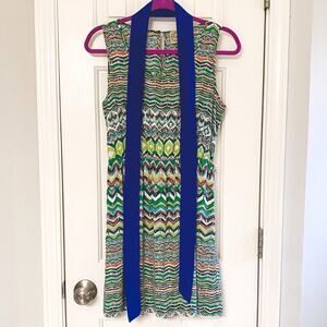 DEJAVU • Boutique Green + Blue Chevron Printed Tank Dress